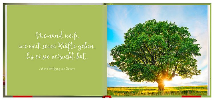 Produktbild: Kraftmomente f&uuml;r dich