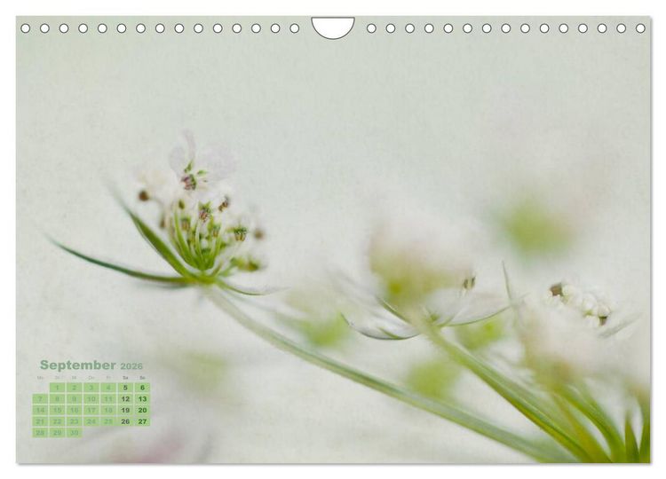 Produktbild: Zauberhafte Bl&uuml;ten (Wandkalender 2026 DIN A4 quer), CALVENDO Monatskalender