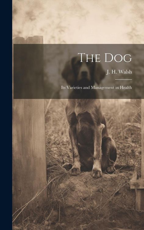 Produktbild: The Dog