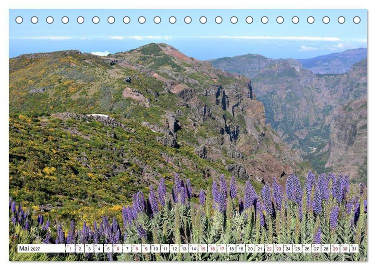 Produktbild: Bl&uuml;tenzauber auf Madeira. Wildblumen und Ziergew&auml;chse (Tischkalender 2027 DIN A5 quer), CALVENDO Monatskalender