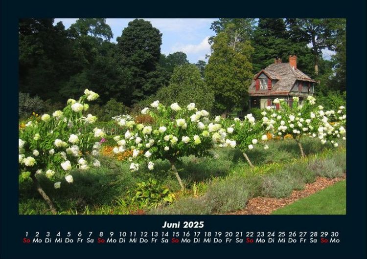 Produktbild: Blumenkalender 2025 Fotokalender DIN A4