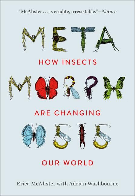 Produktbild: Metamorphosis