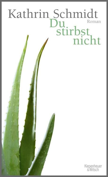 Produktbild: Du stirbst nicht