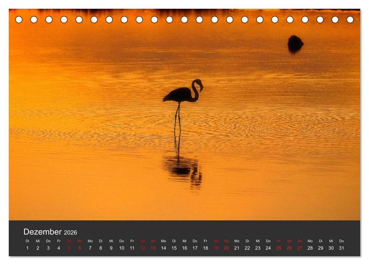 Produktbild: Pretty Flamingo (Tischkalender 2026 DIN A5 quer), CALVENDO Monatskalender