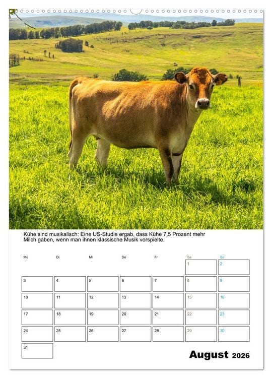 Produktbild: Liebenswerte Landtiere (Wandkalender 2026 DIN A2 hoch), CALVENDO Monatskalender