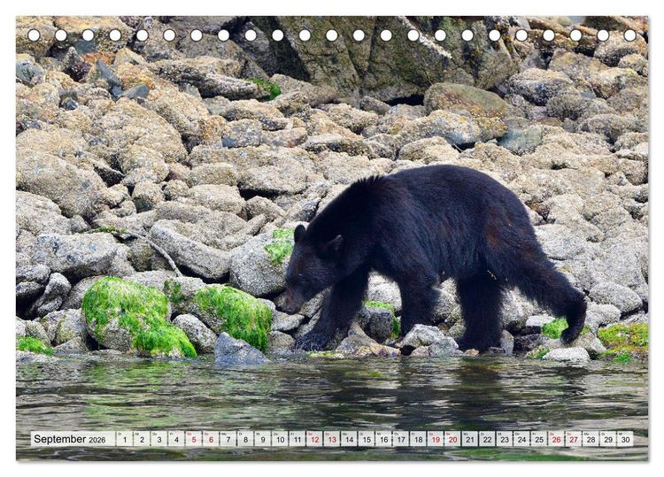 Produktbild: Faszination Vancouver Island (Tischkalender 2026 DIN A5 quer), CALVENDO Monatskalender