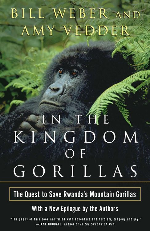 Produktbild: In the Kingdom of Gorillas