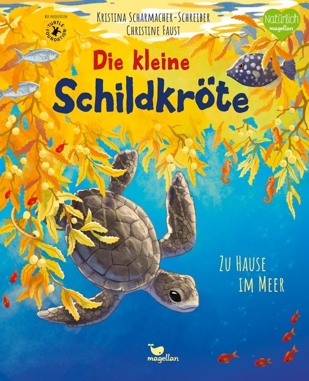 Produktbild: Die kleine Schildkröte - Zu Hause im Meer