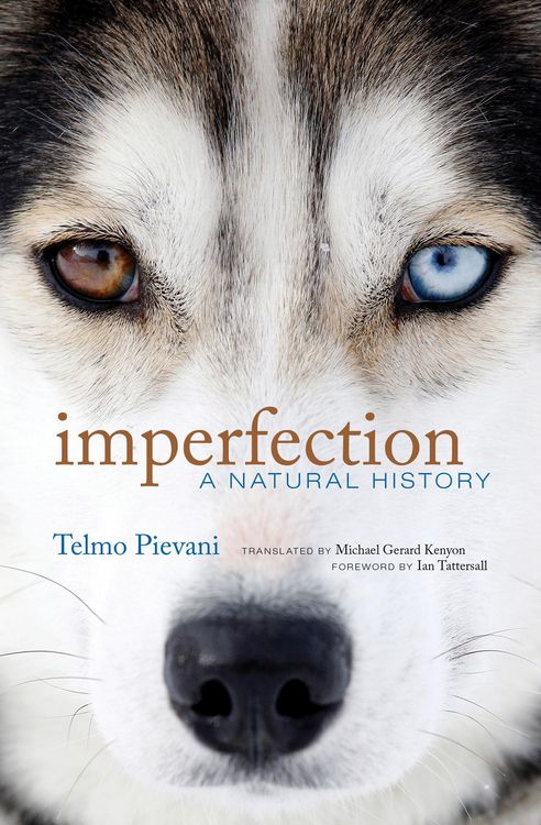 Produktbild: Imperfection