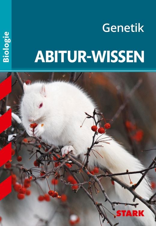 Produktbild: Abitur-Wissen Biologie Genetik