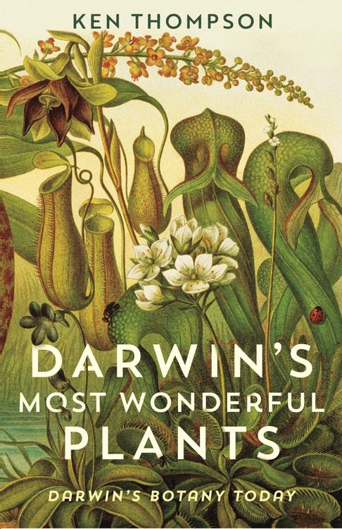 Produktbild: Darwin's Most Wonderful Plants
