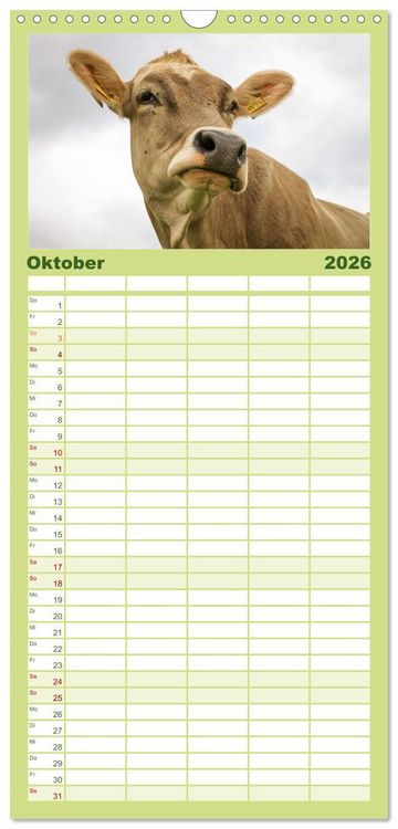 Produktbild: Familienplaner 2026 - Naturparadies Allg&auml;u - Von Oberstdorf bis F&uuml;ssen mit 5 Spalten (Wandkalender, 21 x 45 cm) CALVENDO