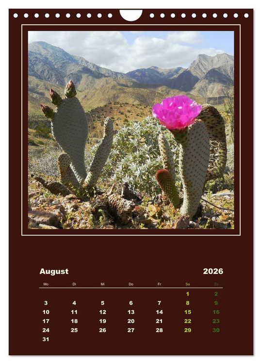 Produktbild: Wilde Kakteen Amerikas (Wandkalender 2026 DIN A4 hoch), CALVENDO Monatskalender