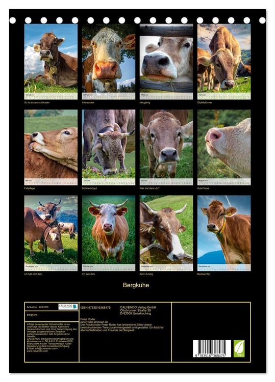 Produktbild: Bergk&uuml;he (Tischkalender 2026 DIN A5 hoch), CALVENDO Monatskalender