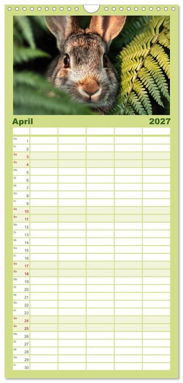 Produktbild: Familienplaner 2027 - Waldgefl&uuml;ster mit 5 Spalten (Wandkalender, 21 x 45 cm) CALVENDO
