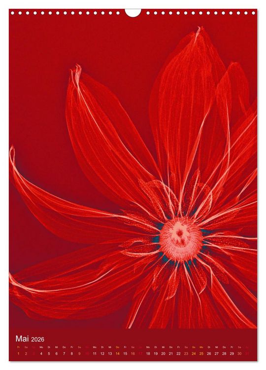 Produktbild: Durchleuchtete Blumenwelt 2026 (Wandkalender 2026 DIN A3 hoch), CALVENDO Monatskalender
