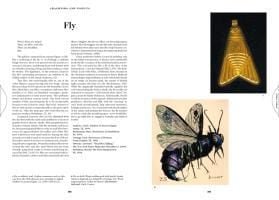 Produktbild: Das Buch der Symbole