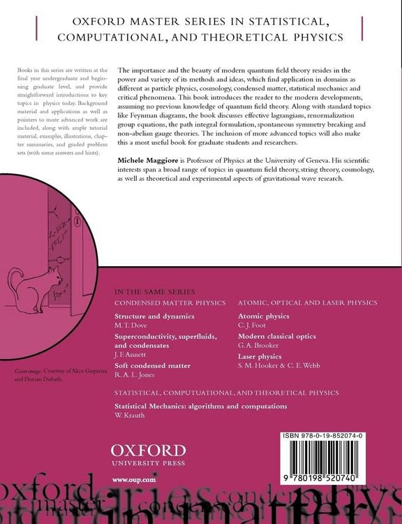 Produktbild: A Modern Introduction to Quantum Field Theory