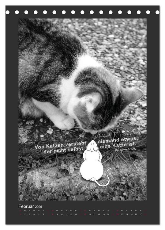 Produktbild: Katz & Maus (Tischkalender 2026 DIN A5 hoch), CALVENDO Monatskalender