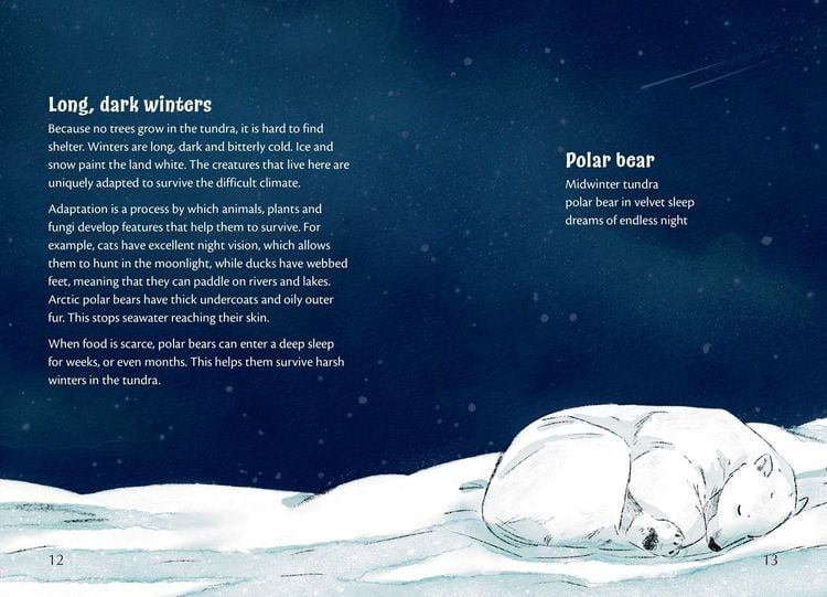 Produktbild: Poems for our Planet