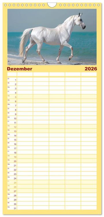 Produktbild: Familienplaner 2026 - Bezaubernde Eleganz wei&szlig;er Pferde mit 5 Spalten (Wandkalender, 21 x 45 cm) CALVENDO