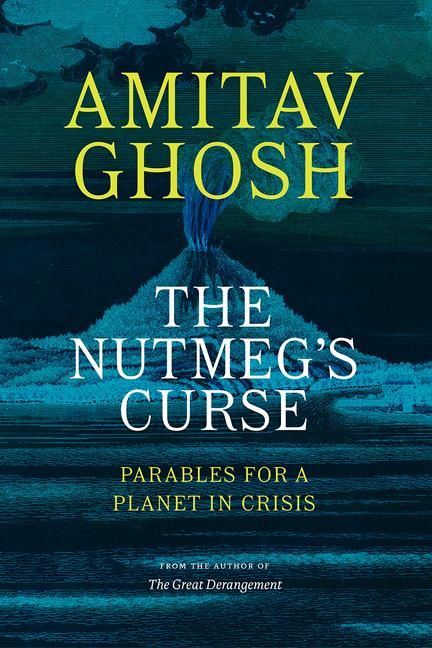 Produktbild: The Nutmeg's Curse