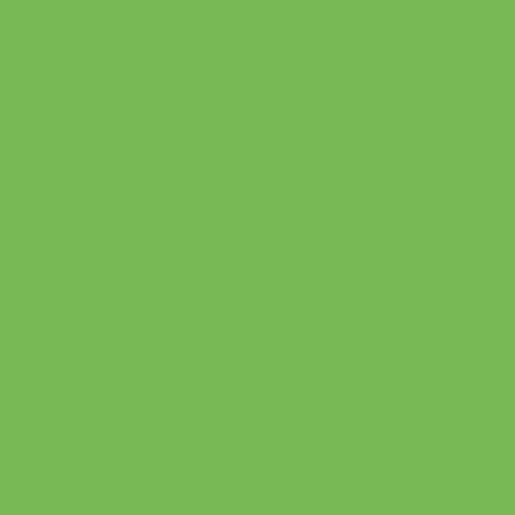 Produktbild: Tonpapier | A4, 130 g/m&sup2;, grasgr&uuml;n