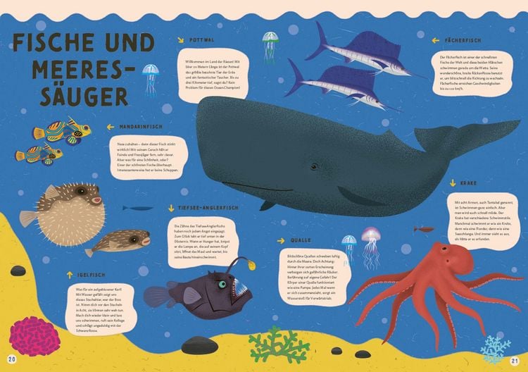 Produktbild: Alles, was schwimmt. Im und auf und unter dem Wasser