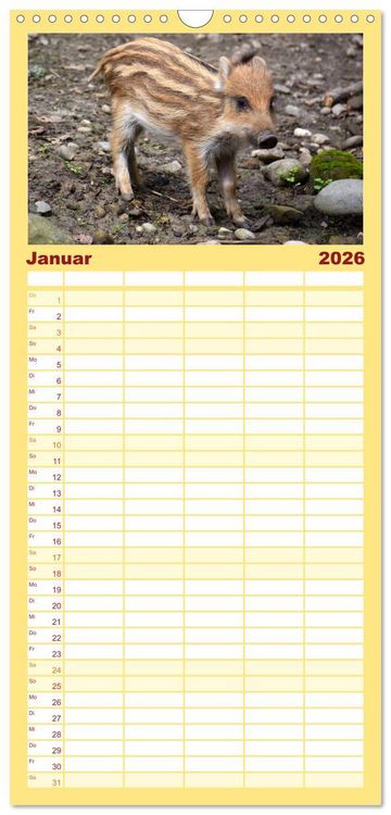 Produktbild: Familienplaner 2026 - Nachwuchs in der Tierwelt mit 5 Spalten (Wandkalender, 21 x 45 cm) CALVENDO