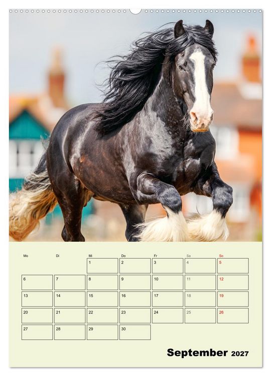Produktbild: Shire Horse Magie. Englands sanfte Giganten (Wandkalender 2027 DIN A2 hoch), CALVENDO Monatskalender
