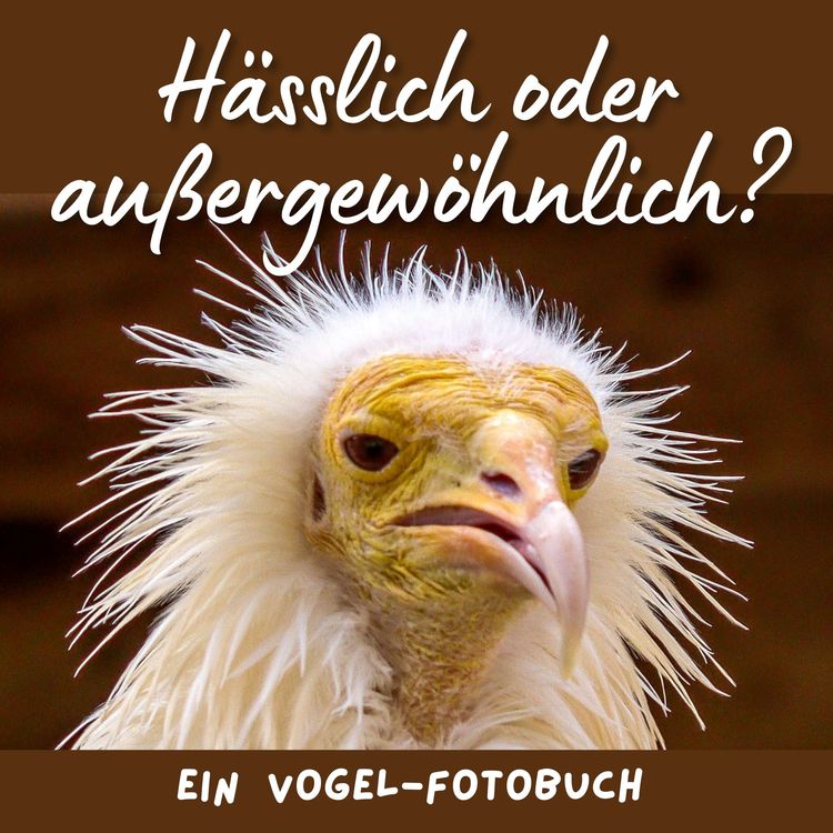 Produktbild: H&auml;sslich oder au&szlig;ergew&ouml;hnlich?