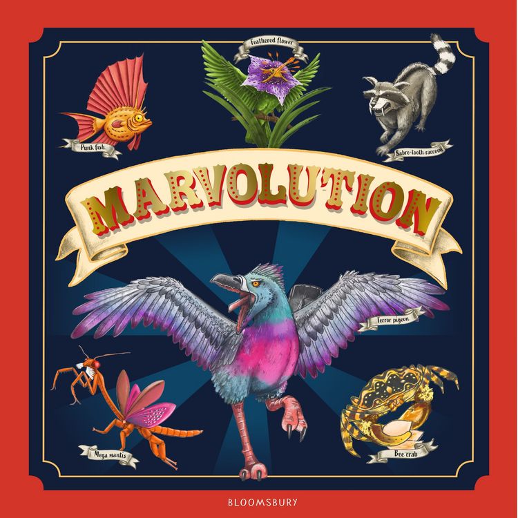 Produktbild: Marvolution