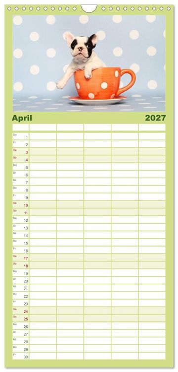 Produktbild: Familienplaner 2027 - Der Bully - Kalender Familienplaner hoch mit 5 Spalten (Wandkalender, 21 x 45 cm) CALVENDO