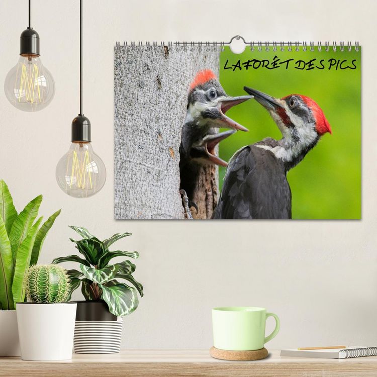 Produktbild: LA FOR&Ecirc;T DES PICS (Calendrier mural 2026 DIN A4 vertical), CALVENDO calendrier mensuel