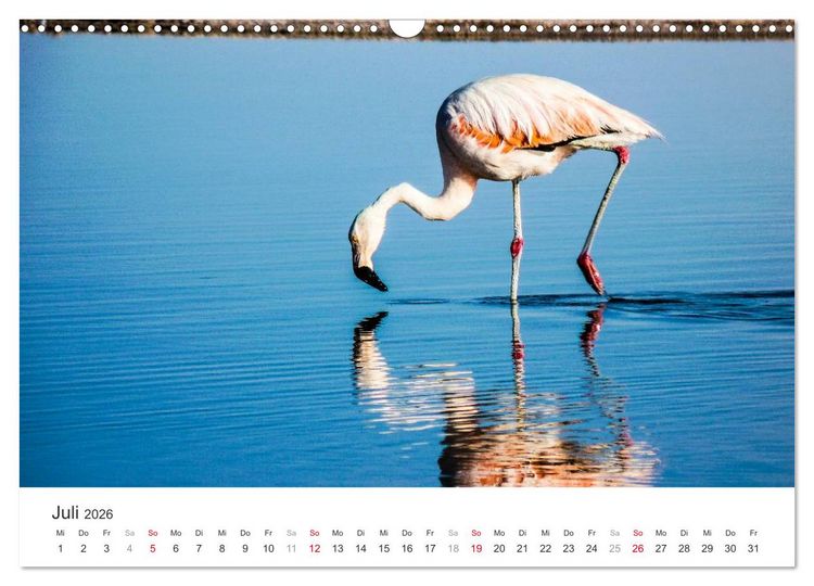 Produktbild: Chile - Land voller Kontraste (Wandkalender 2026 DIN A3 quer), CALVENDO Monatskalender