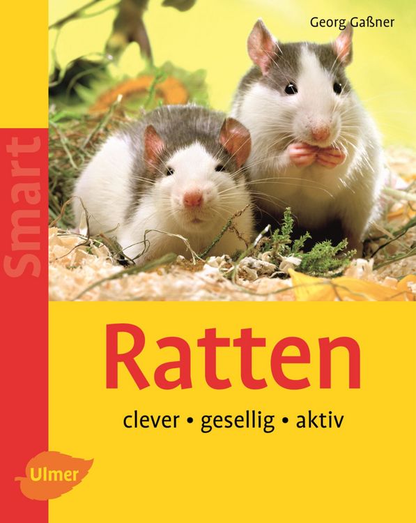 Produktbild: Ratten