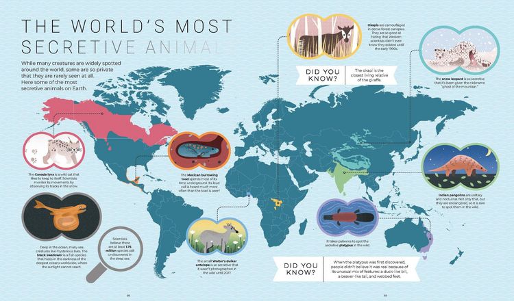 Produktbild: Lonely Planet Kids Maptacular!