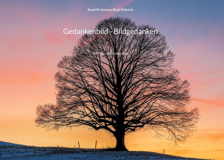 Produktbild: Gedankenbild - Bildgedanken