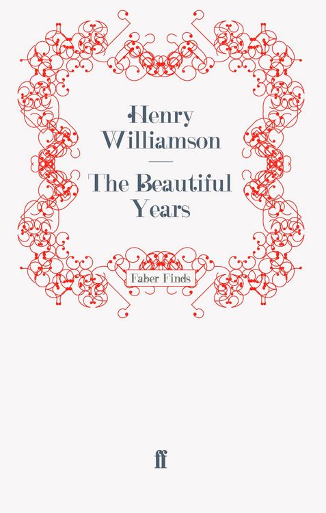 Produktbild: The Beautiful Years