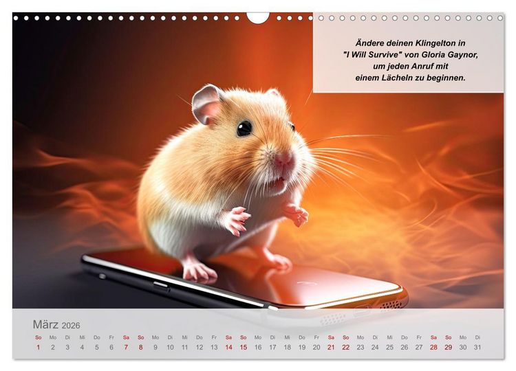 Produktbild: Endlich erfolgreich geschieden (Wandkalender 2026 DIN A3 quer), CALVENDO Monatskalender
