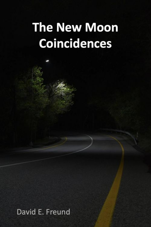 Produktbild: The New Moon Coincidences