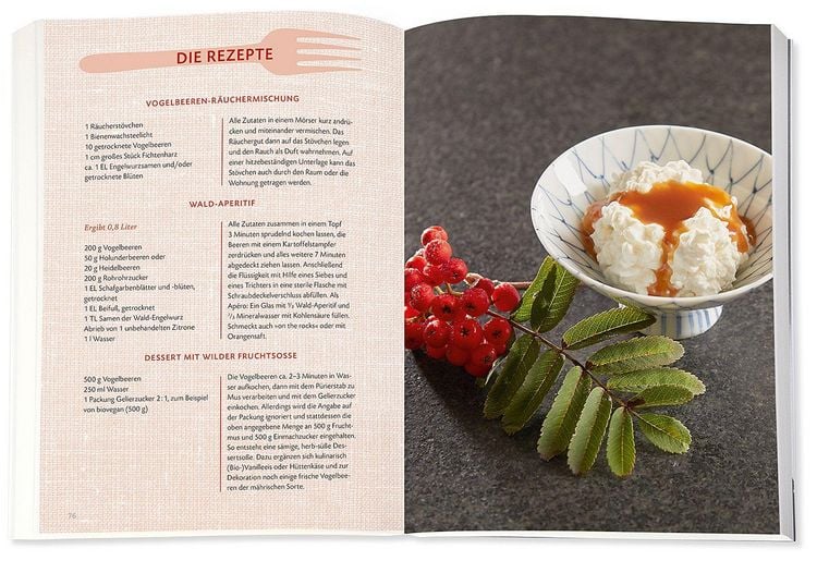 Produktbild: Die Wildpflanzen-Apotheke