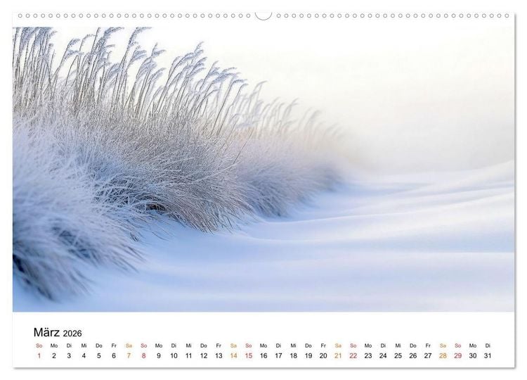 Produktbild: Winterzauber - Nordwind und Schneegest&ouml;ber (hochwertiger Premium Wandkalender 2026 DIN A2 quer), Kunstdruck in Hochglanz