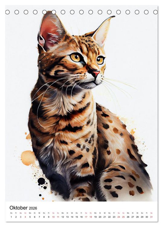 Produktbild: Katzen wie gemalt (Tischkalender 2026 DIN A5 hoch), CALVENDO Monatskalender