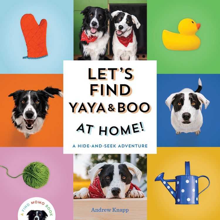 Produktbild: Let's Find Yaya and Boo at Home!