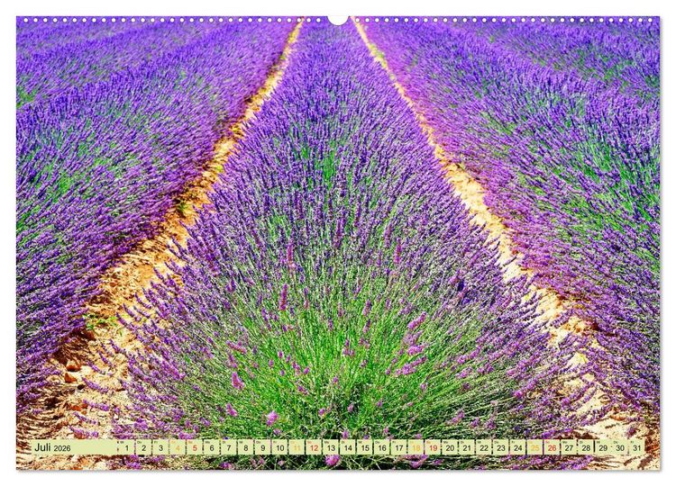 Produktbild: Traum-Ziele - Lavendel der Provence, Frankreich (Wandkalender 2026 DIN A2 quer), CALVENDO Monatskalender