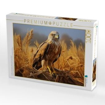 Produktbild: CALVENDO Puzzle Ein Motiv aus dem Kalender "Biotop zwischen Land und Meer" | 1000 Teile Lege-Gr&ouml;&szlig;e 64x48cm Foto-Puzzle f&uuml;r gl&uuml;ckliche Stunden