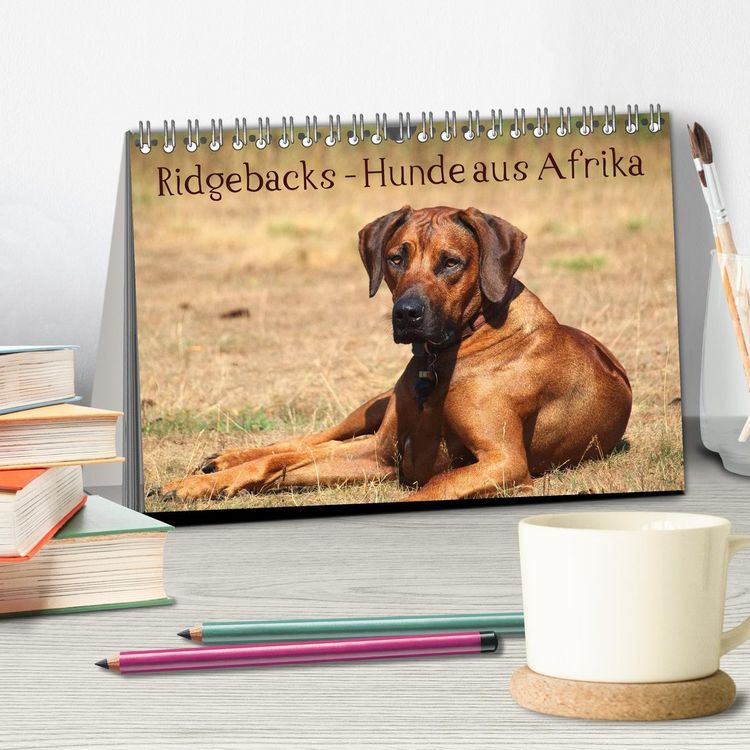 Produktbild: Ridgebacks - Hunde aus Afrika (Tischkalender 2026 DIN A5 quer), CALVENDO Monatskalender