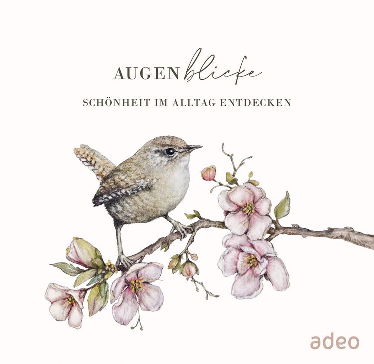 Produktbild: AugenBlicke - Aufstellbuch