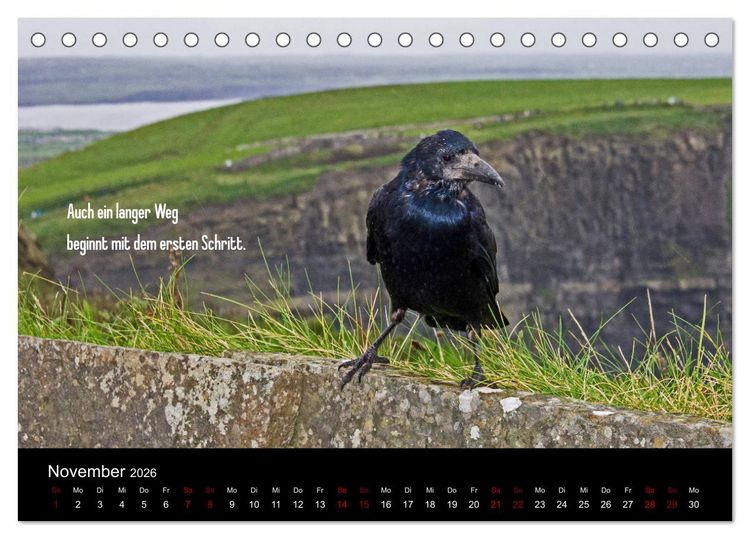 Produktbild: Irland - Irische Segensw&uuml;nsche (Tischkalender 2026 DIN A5 quer), CALVENDO Monatskalender